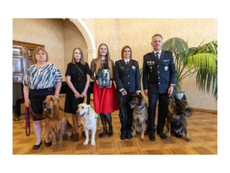 Nominujte psí hrdiny v anketě Statečné psí srdce