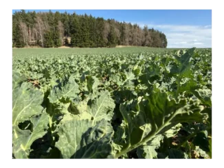 Jak zlepšit efektivitu v českém zemědělství 2026