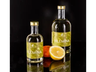 Objevte Vilemínu a Zámek Zelená hora