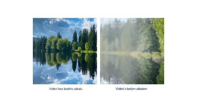 Jak zrak ovlivňuje život lidí s poruchami zraku?
