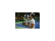 Bybit Stockholm Open: Casper Ruud obhajuje titul