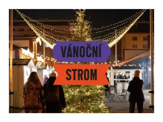 Vánoční strom v Holešovické tržnici: zapojte se!