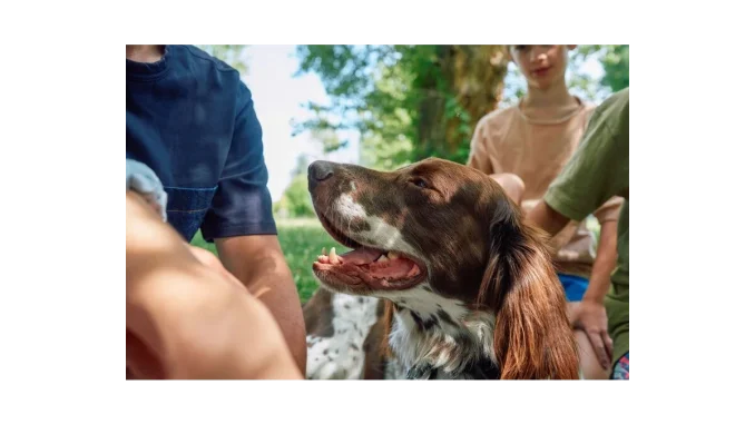 Dovolená se zvířaty: Zdraví na prvním místě