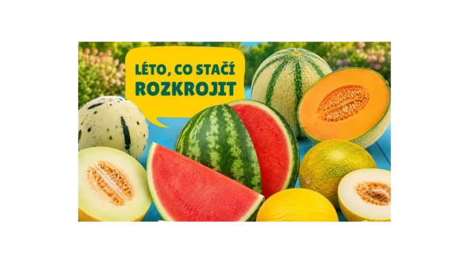 Jak si vychutnat meloun s tipy od BILLA