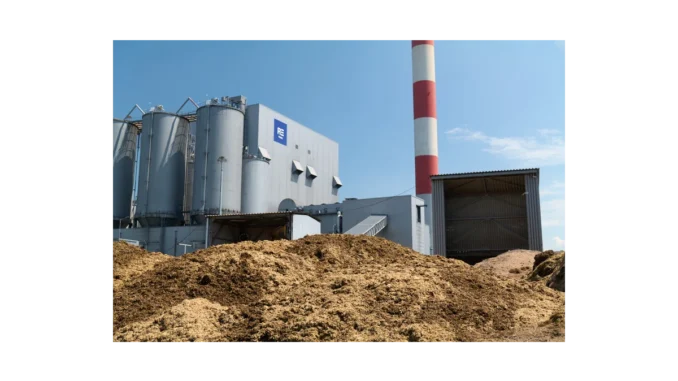 Biomasa v ČR: Růst spotřeby a budoucnost energetiky