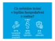 Klimatická změna: Města čelí výzvám s financemi